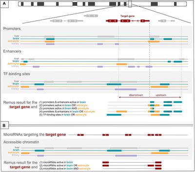 Remus: A Web Application for Prioritization of Regulatory Regions and Variants in Monogenic Diseases